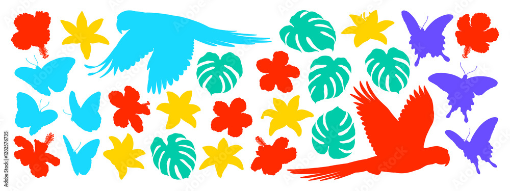 Parrots, monstera leaves, various flowers and butterflies on transparent background, colorful silhouette illustrations, tropical illustration collection Parrots, monstera leaves, various flowers and butterflies on transparent background, colorful silhouette illustrations, tropical illustration collection
