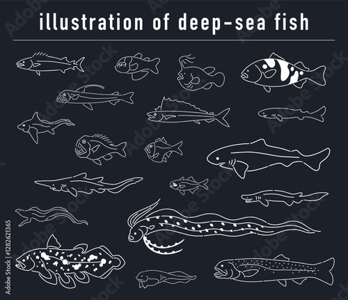 深海魚の手描きイラストセット