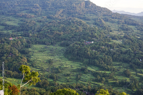 The view at the top of Lolai Toraja Makassar