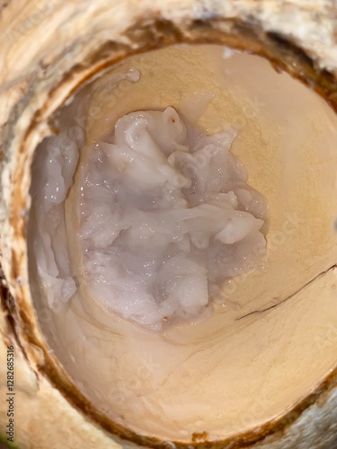 tampilan buah kelapa muda yang dibelah