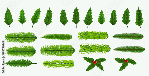 collection of herbal and fresh leaves element background design