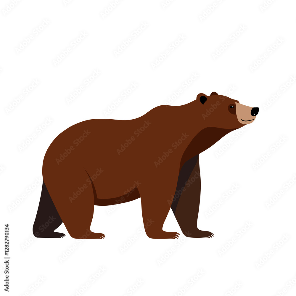 Fototapeta premium Simple Illustration Of A Bear