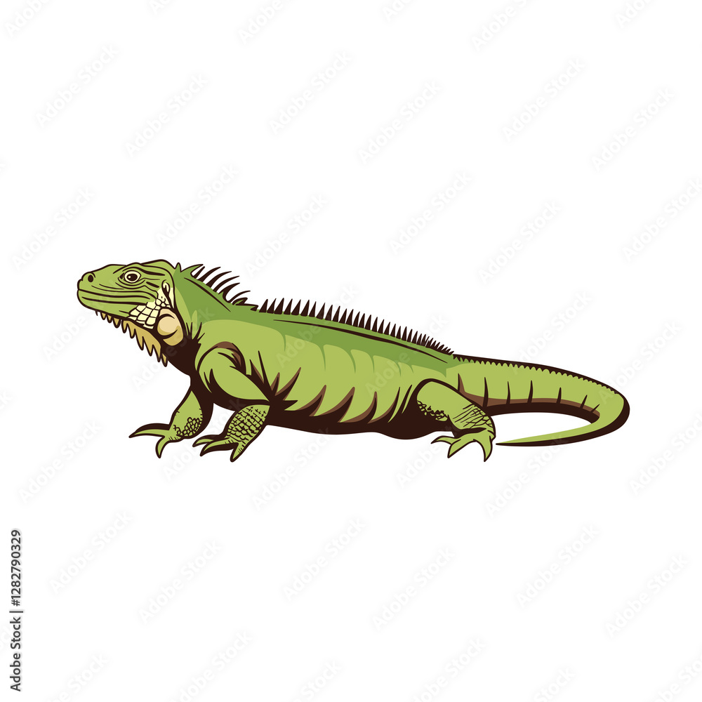 Fototapeta premium Simple Illustration Of An Iguana