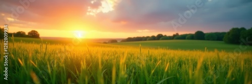 Soft focus sunset over lush green meadow, sweet tones , romantic, detail
