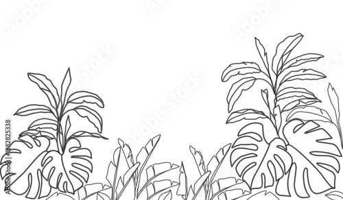 Wallpaper Mural Tropical leaf line art wallpaper background vector. Design of natural Monstera leaves and banana leaves in a minimalist linear outline style. Design for print, cover, banner, decoration. Torontodigital.ca