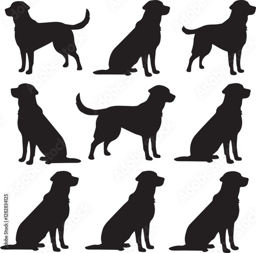 vector illustration of an elegant Labrador Retriever silhouette 