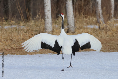 red-crowned crane