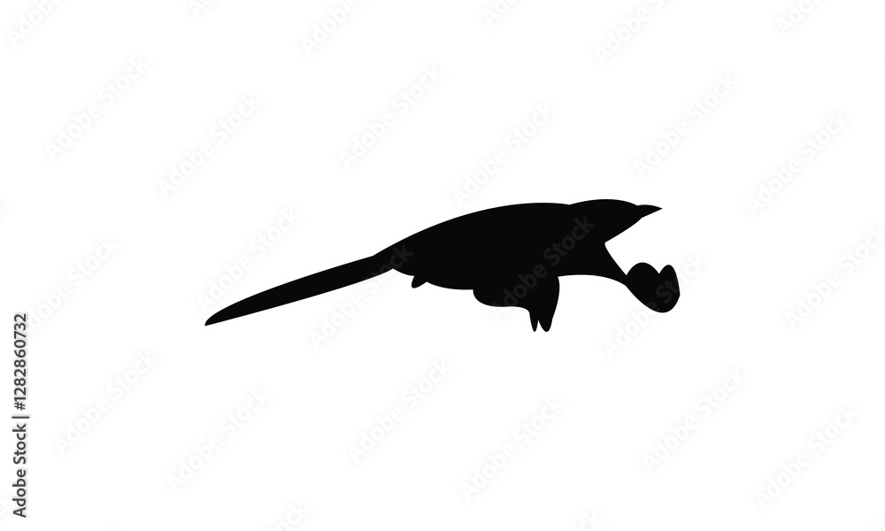 African emerald cuckoo bird Silhouette Design And Vector Illustration. African emerald cuckoo bird Silhouette Design And Vector Illustration.