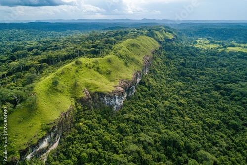 Aerial view of grassy clifftop, rainforest backdrop, equatorial landscape, conservation
