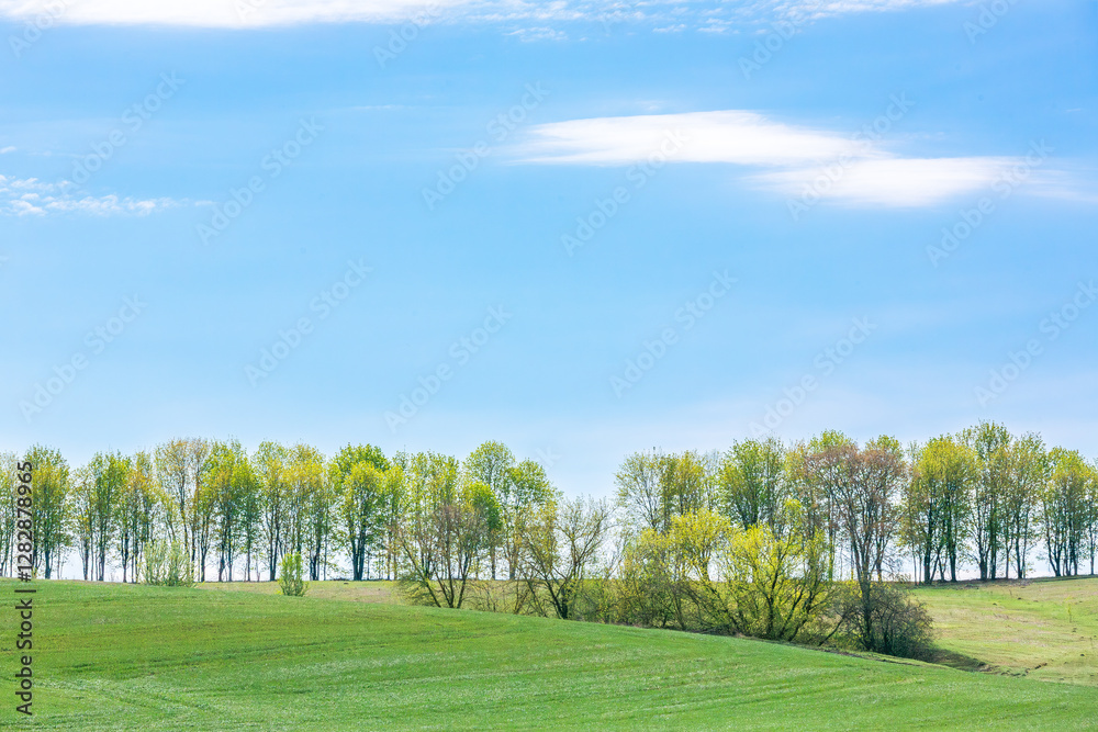 Green rolling hills with trees under blue sky Green rolling hills with trees under blue sky