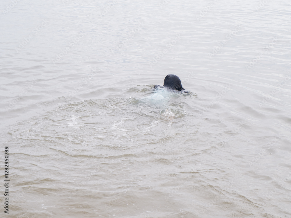 Fototapeta premium a child floating in the water of the beach