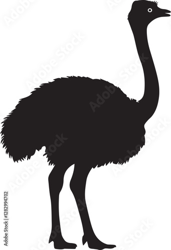 ostrich silhouette isolated on white background