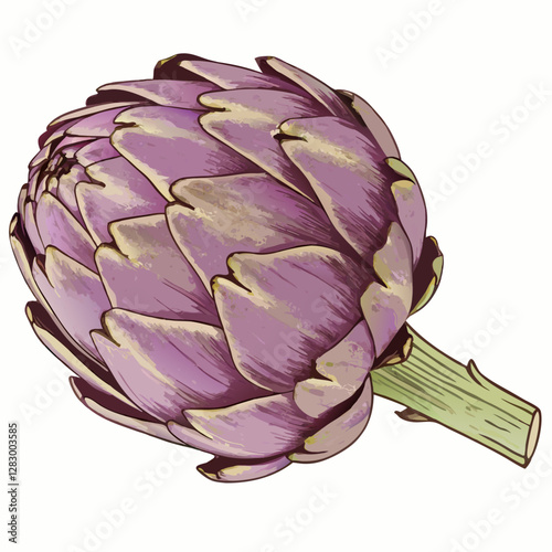 Purple artichoke in studio vector  illustration