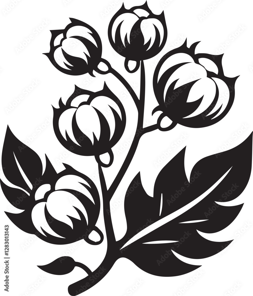 black and white flowers black and white flowers