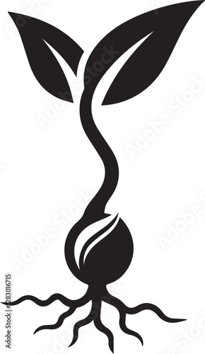 Sprouting seed vectors
