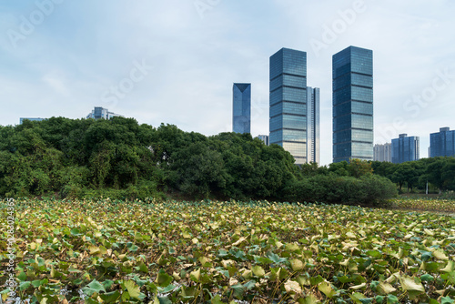 Photography city park with modern building background in shanghai