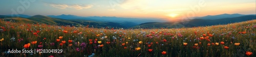 Wide View of Colorful Wildflowers on a Beautiful Meadow. Generative AI