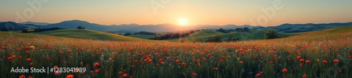 Beautiful sunrise over a poppy field with vibrant wildflowers and rolling hills. Generative AI