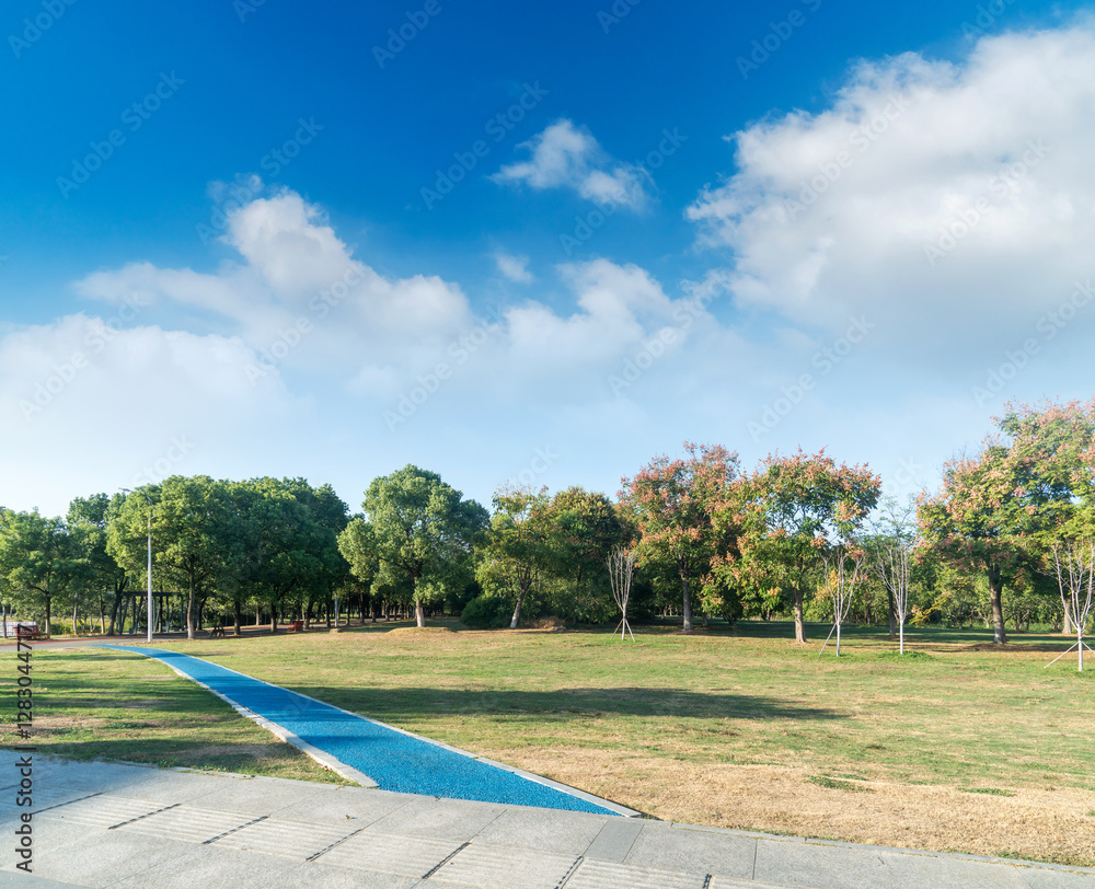Obraz premium Beautiful panorama of green city park