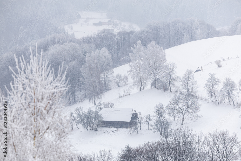 Village of Romania. Winter photo with Simon village from Transylvania. winter landscape with snow-covered trees and a rustic wooden barn, creating a peaceful and picturesque countryside scene