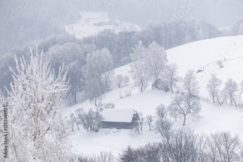 Obraz na płótnie Village of Romania. Winter photo with Simon village from Transylvania. winter landscape with snow-covered trees and a rustic wooden barn, creating a peaceful and picturesque countryside scene w salonie