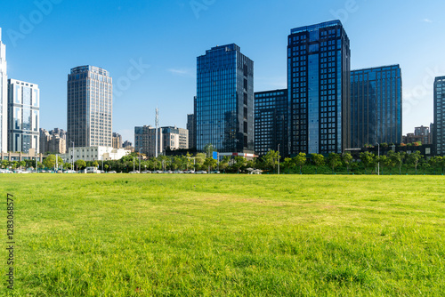 Fototapeta Naklejka Na Ścianę i Meble -  city park with modern building background in shanghai