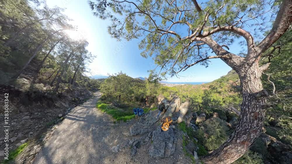 Travelers Resting on a Rocky Outcrop Surrounded by Pine Trees with a Coastal View Under a Clear Blue Sky Travelers Resting on a Rocky Outcrop Surrounded by Pine Trees with a Coastal View Under a Clear Blue Sky
