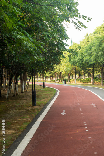 Wallpaper Mural New pathway and beautiful trees track for running or walking and cycling relax in the park Torontodigital.ca