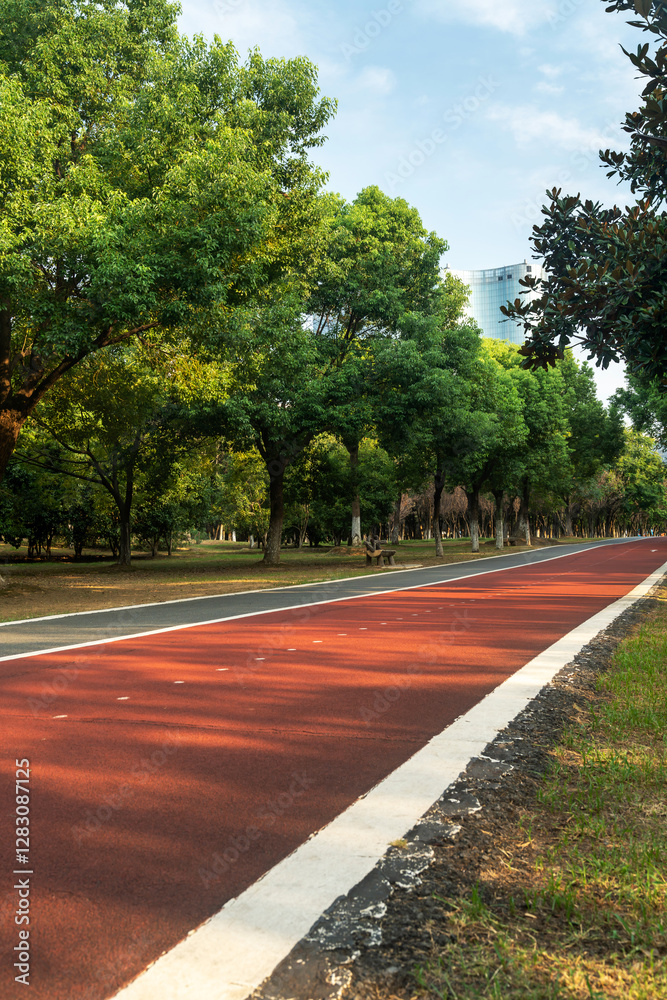 New pathway and beautiful trees track for running or walking and cycling relax in the park New pathway and beautiful trees track for running or walking and cycling relax in the park