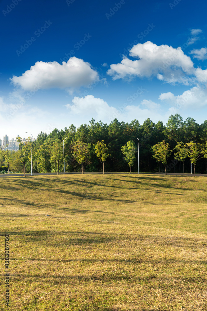 Obraz premium Beautiful panorama of green city park