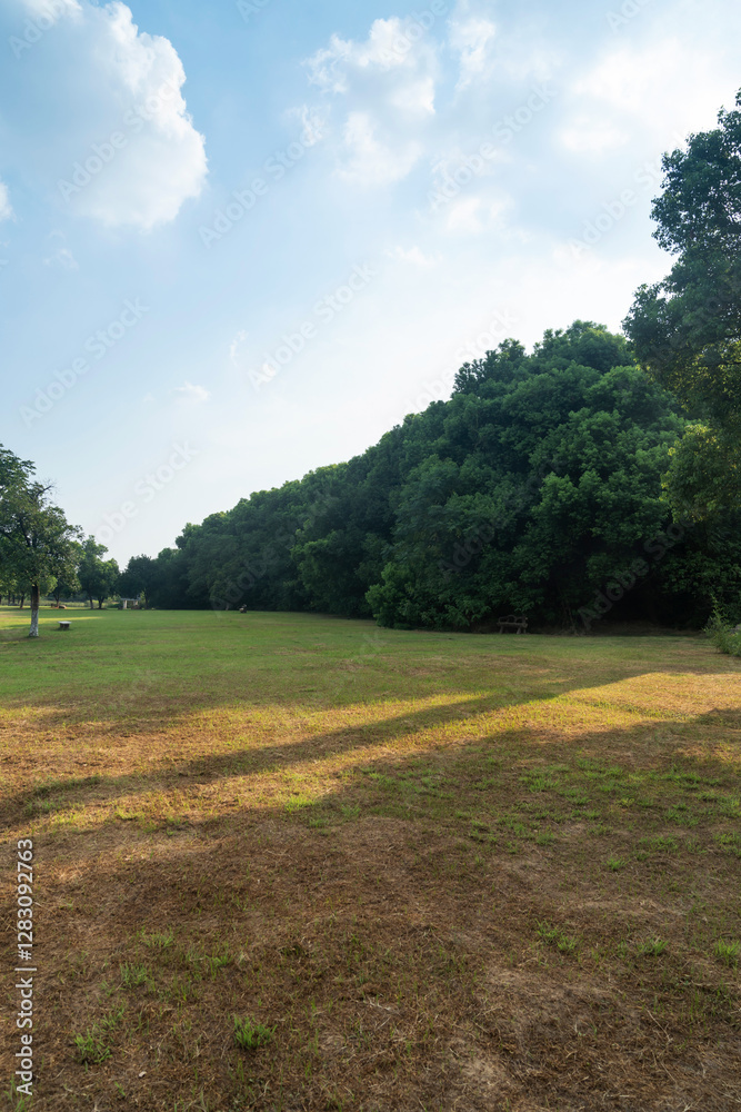 Beautiful panorama of green city park Beautiful panorama of green city park
