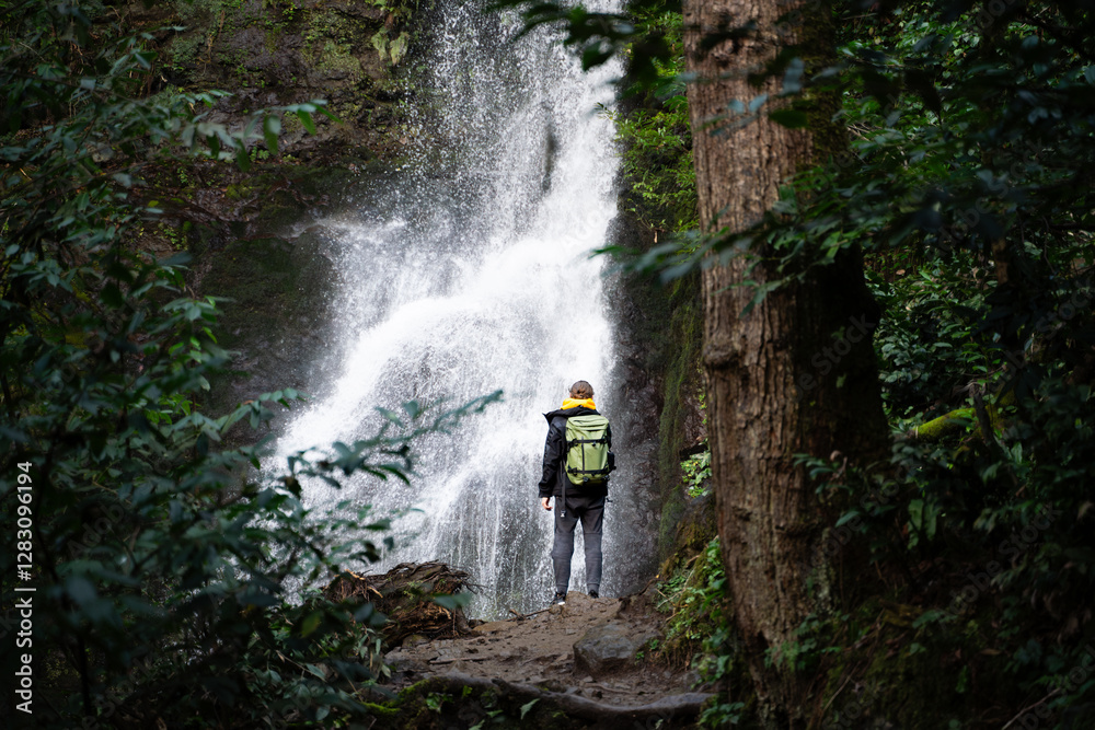 Obraz premium Man looking at the waterfall in the lush, green, and vibrant forest in the mountains. Landscape photography. A person admiring the beauty of powerful white river stream.