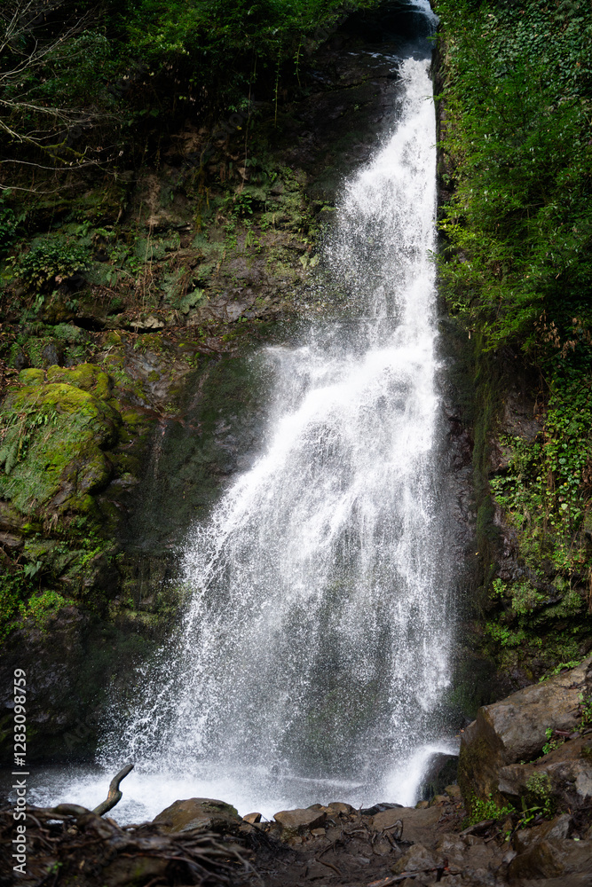 A natural view of a tropical waterfall in a forest landscape. River with white stream. Green vegetation national park. Green tropical forest. Vertical. A natural view of a tropical waterfall in a forest landscape. River with white stream. Green vegetation national park. Green tropical forest. Vertical.