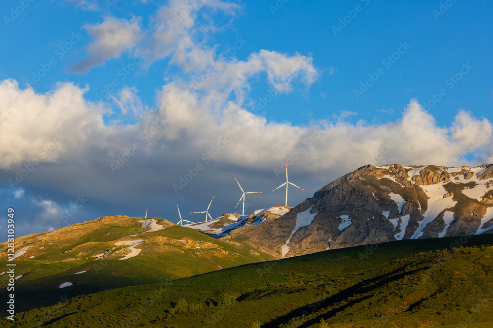 wind turbines that produce electricity
