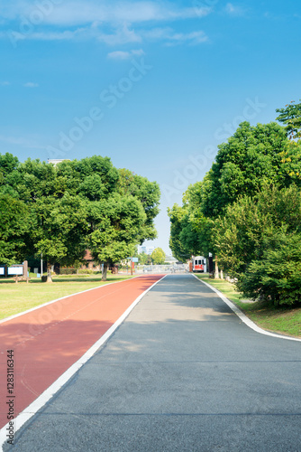 Wallpaper Mural New pathway and beautiful trees track for running or walking and cycling relax in the park Torontodigital.ca