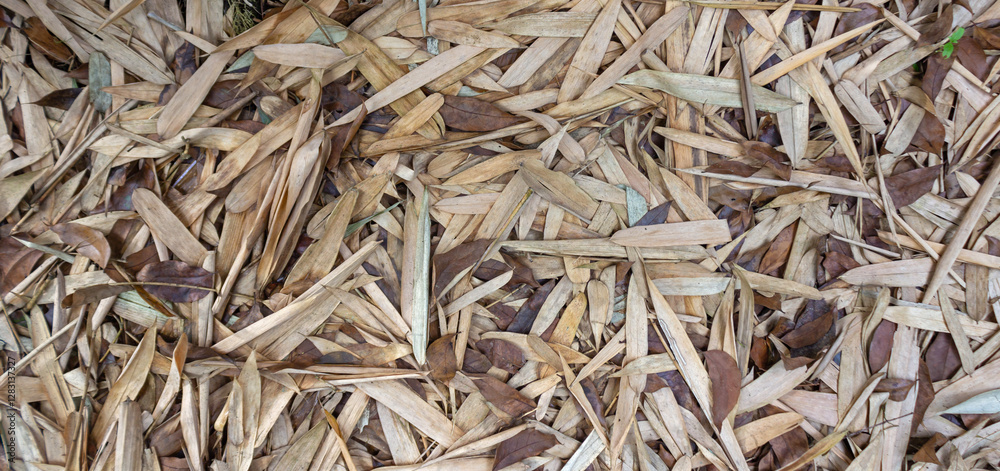 Full Frame Background Texture of Dry Bamboo Leaves Full Frame Background Texture of Dry Bamboo Leaves