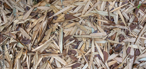 Full Frame Background Texture of Dry Bamboo Leaves