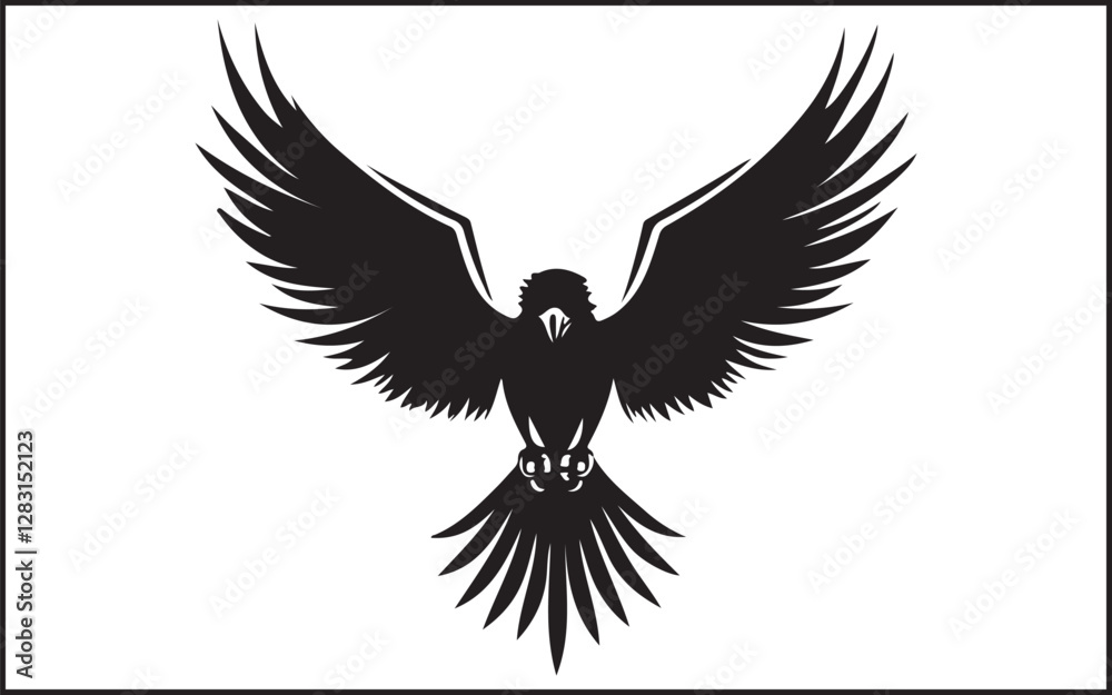 Obraz premium eagle with wings