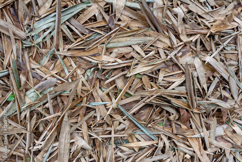 Full Frame Background Texture of Dry Bamboo Leaves