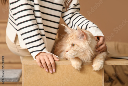 Woman petting a fluffy ging...