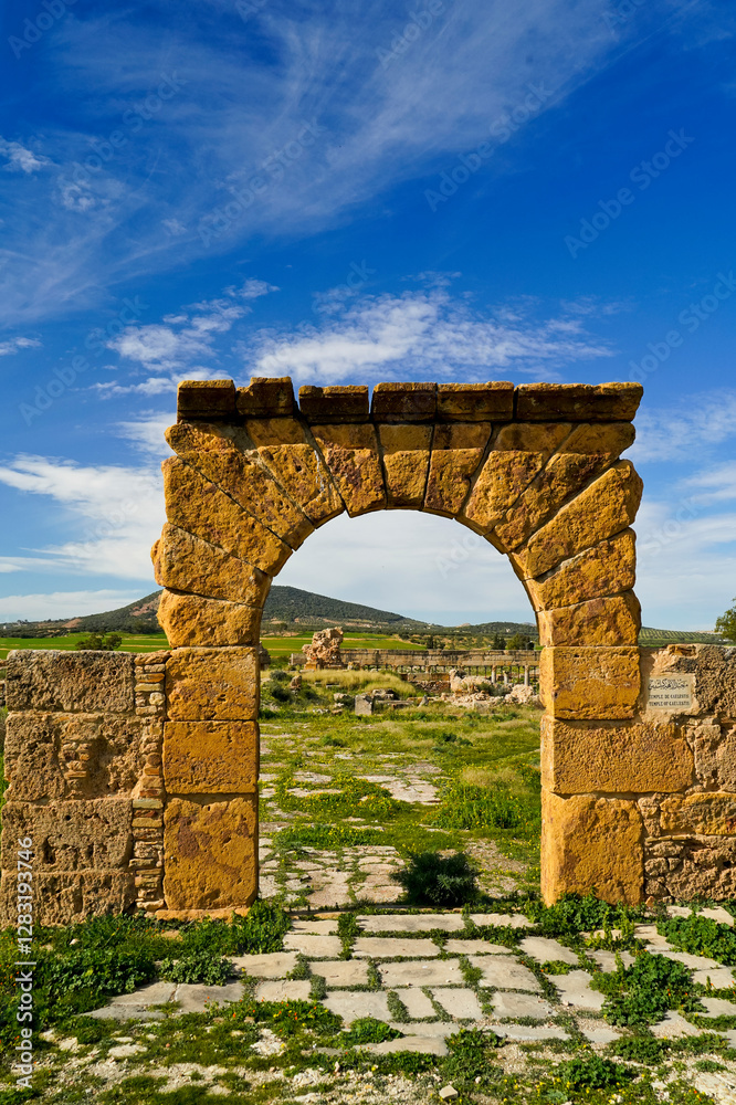 l'area,archeologica di Thuburbo Majus con i resti dell'antica città Romana,Pont du Fahs,Tunisia l'area,archeologica di Thuburbo Majus con i resti dell'antica città Romana,Pont du Fahs,Tunisia