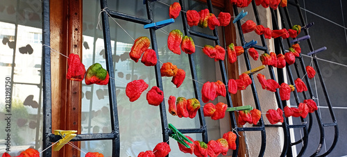 Chain of Turkish sun dried red and green peppers, Biber Kurusu, close up photo