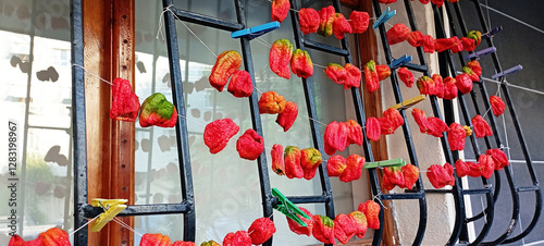 Chain of Turkish sun dried red and green peppers, Biber Kurusu, close up photo