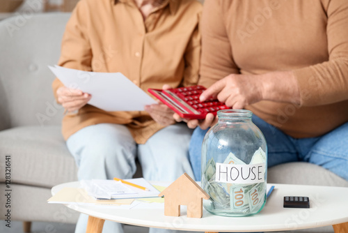 Jar of money and house figu...