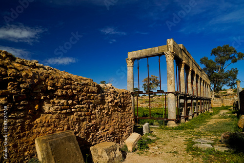 l'area,archeologica di Thuburbo Majus con i resti dell'antica città Romana,Pont du Fahs,Tunisia photo