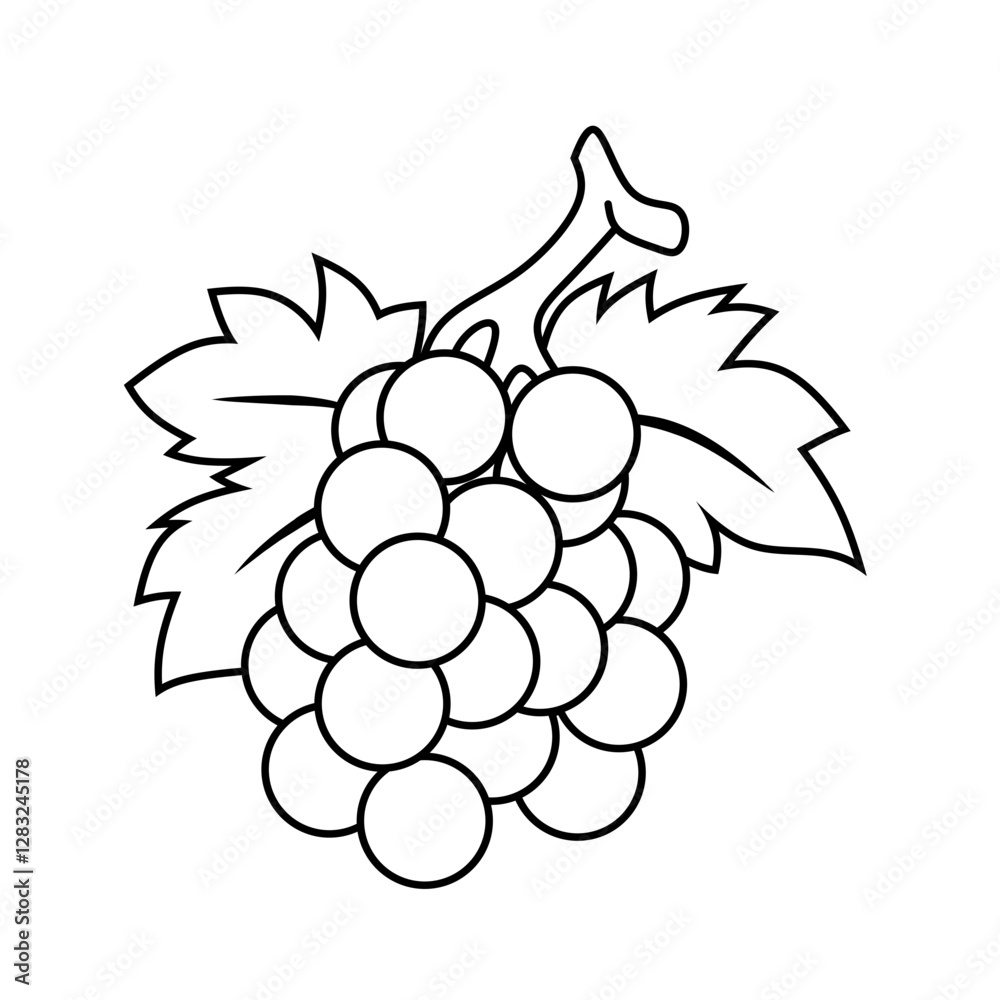 Fototapeta premium grape coloring page