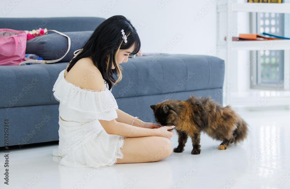Asian happy young female sitting on white floor owner smiling holding feeding jelly treat fluffy tortoiseshell cute little kitten breed pussycat pet friend in living at home concept love animal care Asian happy young female sitting on white floor owner smiling holding feeding jelly treat fluffy tortoiseshell cute little kitten breed pussycat pet friend in living at home concept love animal care