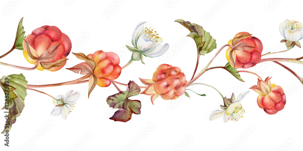 Cloudberry raspberry with white flowers, autumn leaves hand drawn in watercolor, red ripe forest berry on stems. Seamless banner garland illustration. Restaurant, cafe menu, wedding, farmers market Cloudberry raspberry with white flowers, autumn leaves hand drawn in watercolor, red ripe forest berry on stems. Seamless banner garland illustration. Restaurant, cafe menu, wedding, farmers market