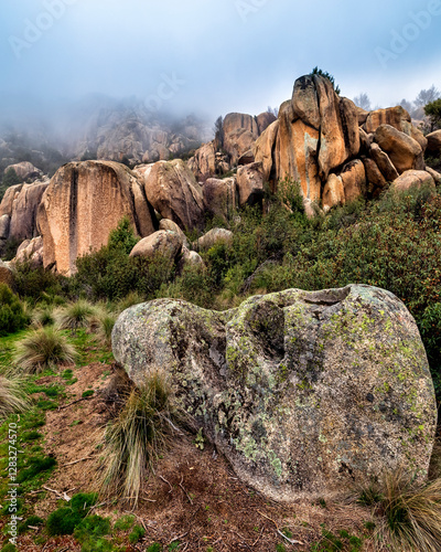 Fog at Previous Pedriza.