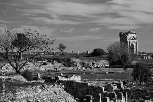 L'area archeologica di Mactaris,con i resti dell'antica città Romana,Makthar , Tunisia photo